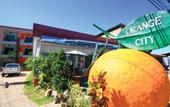 Туры в отель Orange City Mansion