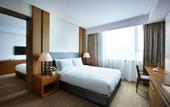 Туры в отель Lotte City Hotel Guro