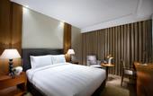 Туры в отель Lotte City Hotel Guro