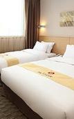 Туры в отель Skypark Dongdaemun I