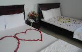 Туры в отель Nam Hong Hotel