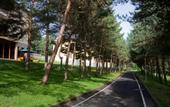 Туры в отель Dilijan Resort