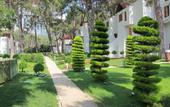 Туры в отель Club Med Kemer Palmiye