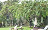 Туры в отель Club Med Kemer Palmiye