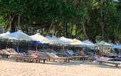 Туры в отель Nha Trang Palace Hotel