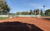 Туры в отель Megasaray Club Belek
