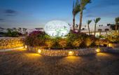 Туры в отель Domina Coral Bay