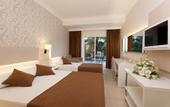Туры в отель Club Mermaid Village