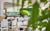 Туры в отель Club Nena
