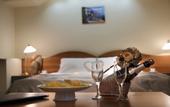 Туры в отель Polo Regatta Hotel