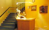 Туры в отель Nord Hostel