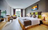 Туры в отель Muong Thanh Holiday Mui Ne