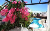 Туры в отель Club Paloma Apartments