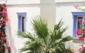 Туры в отель Club Paloma Apartments