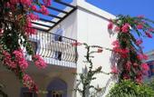 Туры в отель Club Paloma Apartments