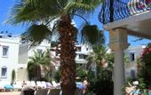 Туры в отель Club Paloma Apartments