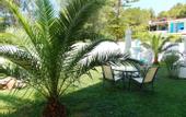 Туры в отель Skiathos Driades