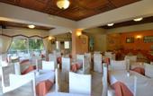 Туры в отель Paloma Blanca Hotel