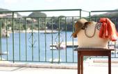 Туры в отель Akis Apartments