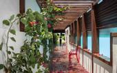 Туры в отель Essenza Hotel