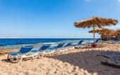 Туры в отель Club Reef Hotel
