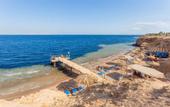 Туры в отель Club Reef Hotel