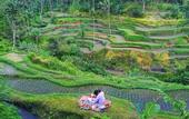 Туры в отель The Kayon