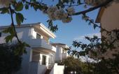 Туры в отель Scandia Villas