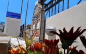 Туры в отель Scandia Villas