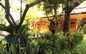 Туры в отель Sayang Maha Mertha Hotel