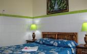 Туры в отель Sayang Maha Mertha Hotel