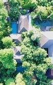 Туры в отель Mango Tree Villas