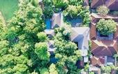 Туры в отель Mango Tree Villas