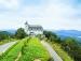 Туры в Ba Na Hills Mountain Resort Morin Hotel