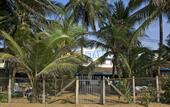 Туры в отель Star Beach Hotel