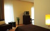Туры в отель Flisvos Hotel Nafpaktos