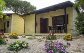 Туры в отель Holiday Village