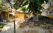 Туры в отель Club Hotel Sunbel