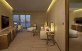 Туры в отель Hyatt Regency Dubai Creek Heights