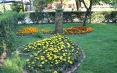 Туры в отель Club Turkuaz Garden
