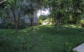 Туры в отель Club Turkuaz Garden