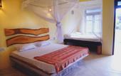 Туры в отель Elephant Road Resort