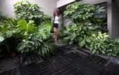 Туры в отель V Hotel Bencoolen