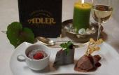 Туры в отель Adler