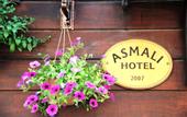 Туры в отель Asmali Hotel