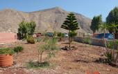 Туры в отель Kalipso Villas