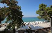 Туры в отель Flegra Beach Boutique Apartments