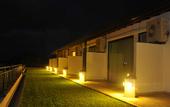 Туры в отель Lotus Paradise Nature Resort