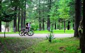 Туры в отель Tskaltubo Spa Resort
