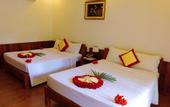 Туры в отель Orange Resort